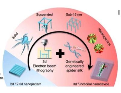 最新突破 中國科學家以蜘蛛絲為材料，研發出革命性納米機器人