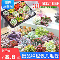 五月花語(yǔ) 自選花束，傳遞浪漫心意